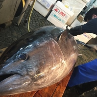 豊洲市場直送の生本鮪と鮮魚