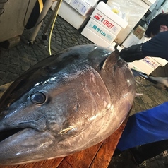 鮪と鮮魚と日本酒 百薬の写真2