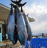 鮮度に自信あり！