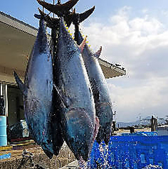 かき小屋 厚岸水産 宴会 海鮮 居酒屋 豊田元城店の写真2
