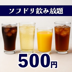 とり日和 伊敷ニュータウン店のコース写真