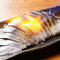炙りしめ鯖/生鯖造り