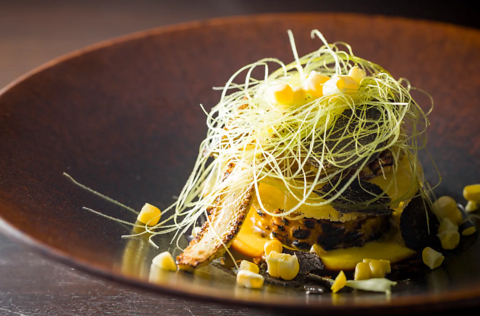 SIO syuji hijikuro VI VEW qWN