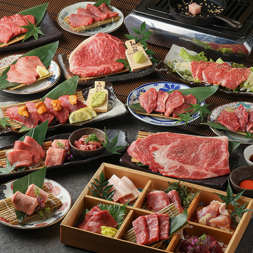 大阪焼肉 ミナミ 梅田店のおすすめ料理1