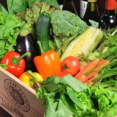 農家さんから届く低農薬、有機栽培野菜