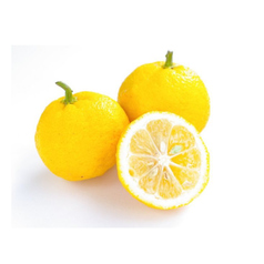 グレープフルーツジュース