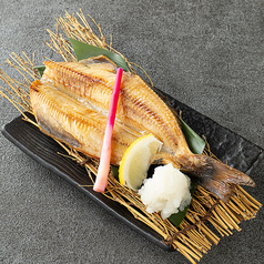 縞ホッケ