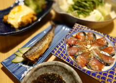 九州うまいもん よかよか 室町四丁目酒場の特集写真