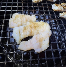 テッチャン（大腸）