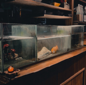 当店でご提供している魚介類は、産地直送！店内の生簀で管理され、ご注文が入ってからさばかれるので鮮度抜群です。そんな新鮮な魚介類は、素材の魅力を存分に味わえるお造りなどで楽しむのがおすすめです◎その他、お肉料理やおつまみ、一品メニューなども充実しておりますので、是非様々なお料理をお楽しみくださいませ。