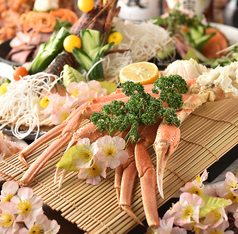 ひなた 横浜店特集写真1