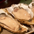 料理メニュー写真&nbsp;仙鳳趾産　生牡蠣