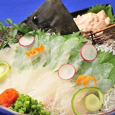 馬刺し&焼き鳥 えびす門のコース写真