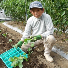 矢島さんは玉ねぎやきゅうりなどを作られています。水や土にも徹底的に気を遣うこだわりよう。