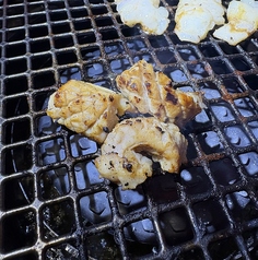 上ミノ