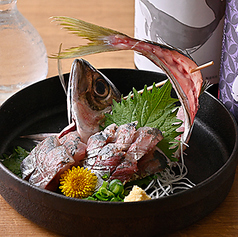 銚子直送!真鯵の姿造り