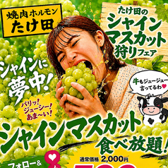 焼肉ホルモンたけ田 新宿店のコース写真