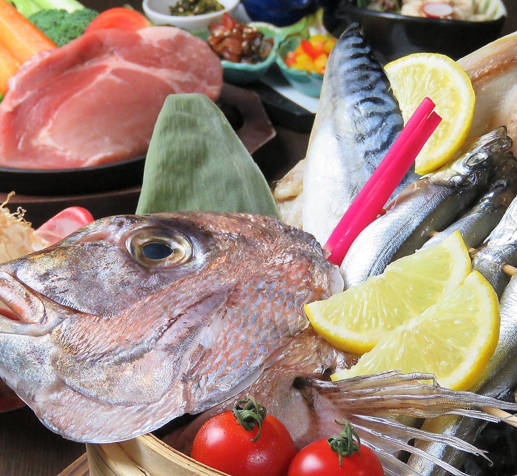 【海鮮が豊富】愛媛近海を始め活きの良い食材でお待ちしております。