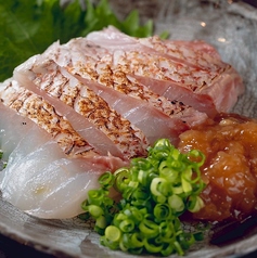 タイの焼き霜造り 梅肉だれ