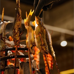 炉端焼き アナタと博多 名古屋駅前店特集写真1