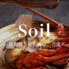 鉄板と炭 Soil 代々木のロゴ