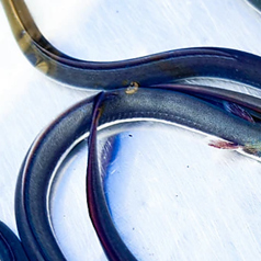 鰻の成瀬 南草津店のおすすめポイント1