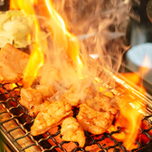 焼き鳥 居酒屋 鶏義 鹿児島天文館店の雰囲気2