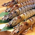 料理メニュー写真&nbsp;車海老　おどり2本　/　茹でたて2本
