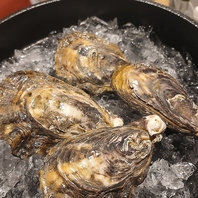 Oysters 