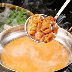 刀 KATANA 難波店の特集写真