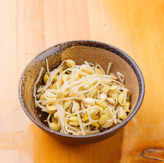 豆モヤシ/Bean sprouts