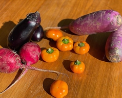 自社農園のオーガニック野菜の数々の写真