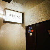白老とラムの雰囲気2
