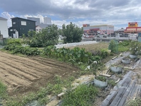 ピアット農園で新鮮野菜を大切に育てています！