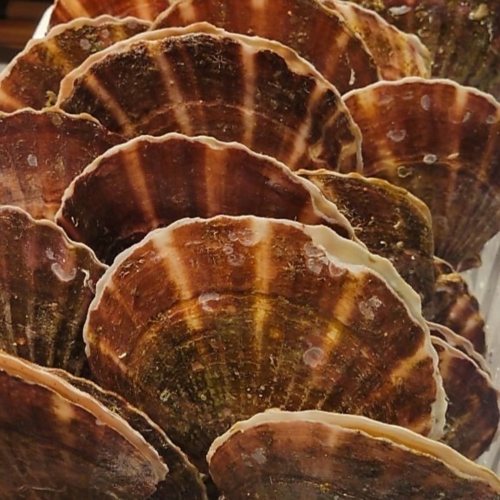 『三陸直送の活ホタテ』を刺身＆浜焼きで