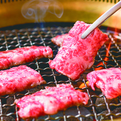 焼肉 スエヒロ館 大宮駅東口すずらん通り店 大宮駅 焼肉 ホルモン ネット予約可 ホットペッパーグルメ