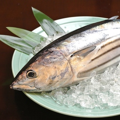 三重県尾鷲漁港・羽田市場・豊洲市場など全国の美味しいお魚をお楽しみ頂けます。