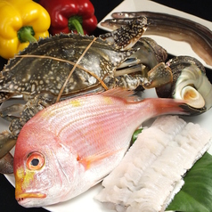 毎朝市場に買い出しに行って仕入れている鮮魚