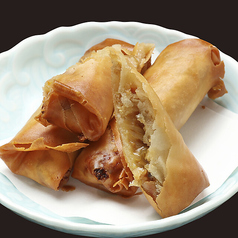 具だくさん春巻き/カマンベールチーズフライ/ごぼうの唐揚げ 各