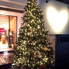 テラス席ございます。ご相談でペット同伴可能