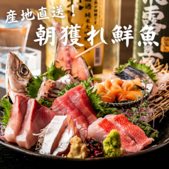 居酒屋 くすくす 野毛 桜木町店特集写真1