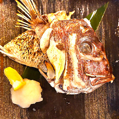 鯛一郎クン カマ塩焼き