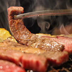 三軒茶屋焼肉ホルモン寅屋のコース写真