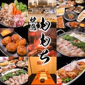 徳島 焼鳥ももち