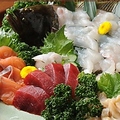 料理メニュー写真&nbsp;刺身盛合せ【2人前～】
