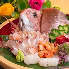 魚菜 基の特集写真