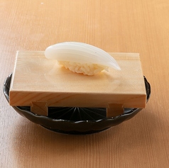 紋甲いか