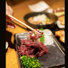 トロレバーや馬刺しなど素材を活かした逸品料理の魅力
