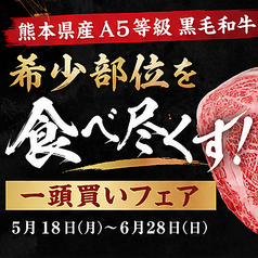 期間限定熊本県産和牛希少部位