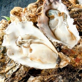 浜直活鮮 魚の一心の雰囲気2